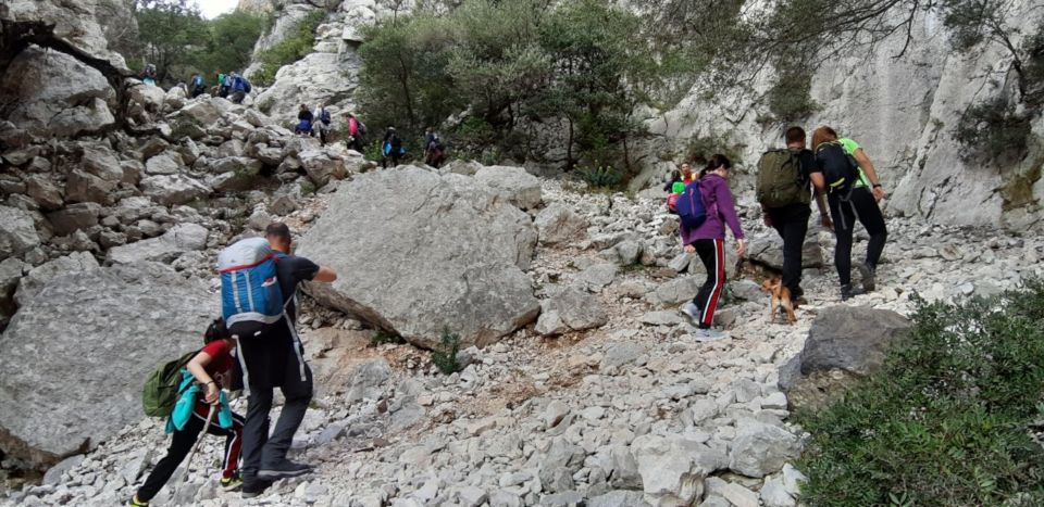 From Baunei: Cala Luna and Dorgali Full-Day Guided Trek - Preparation Tips