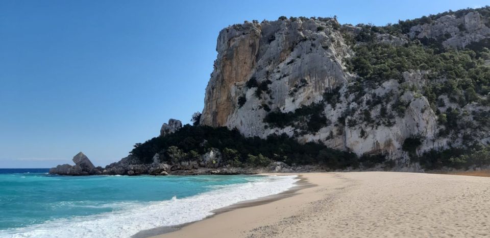 From Baunei: Cala Luna and Dorgali Full-Day Guided Trek - Meeting Point Details