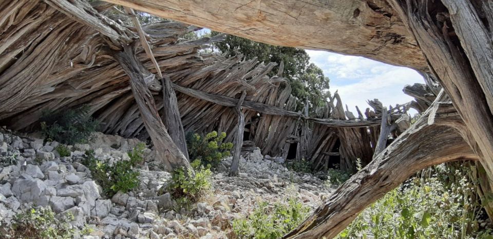 From Baunei: Cala Mariolu Hiking Tour - Experience Highlights