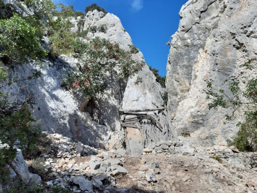 From Baunei: Cala Mariolu Hiking Tour - Inclusions
