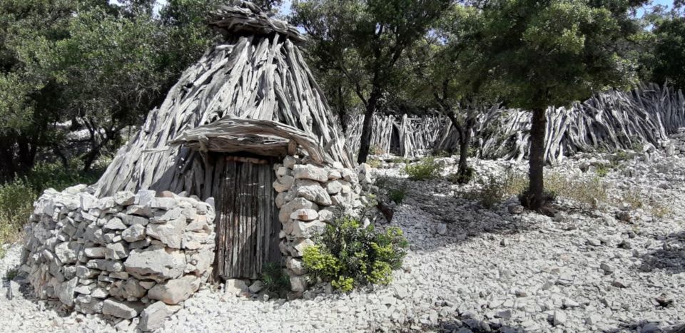 From Baunei: Cala Mariolu Hiking Tour - Participant Requirements