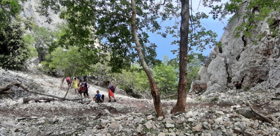 From Baunei: Cala Mariolu Hiking Tour - Preparation Tips