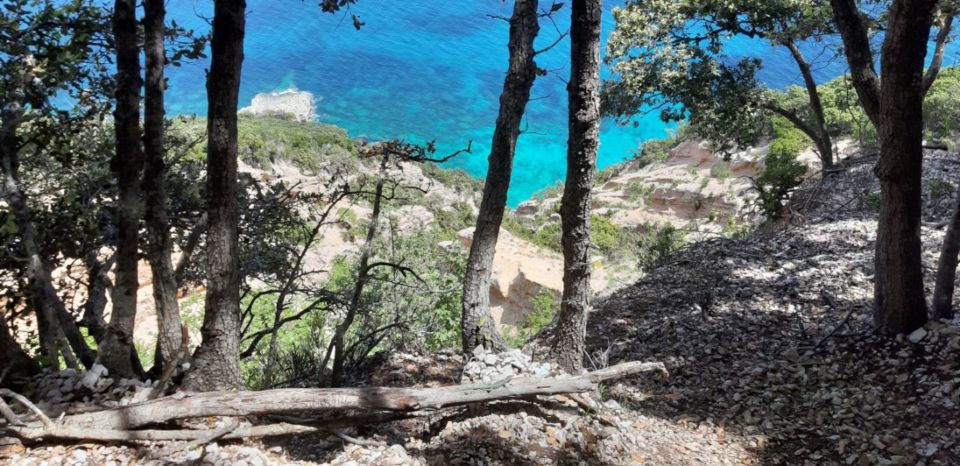 From Baunei: Cala Mariolu Hiking Tour - What to Bring
