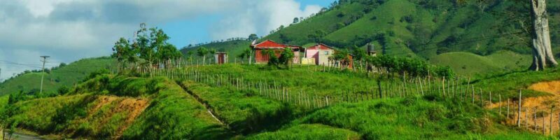 From Bávaro: Higüey Tour with Ranch Horse Ride and Lunch - An In-Depth Look at the Higüey Tour Experience
