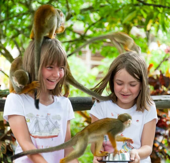 From Bayahibe: Half Day Monkeyland Safari - What is the Monkeyland Safari?