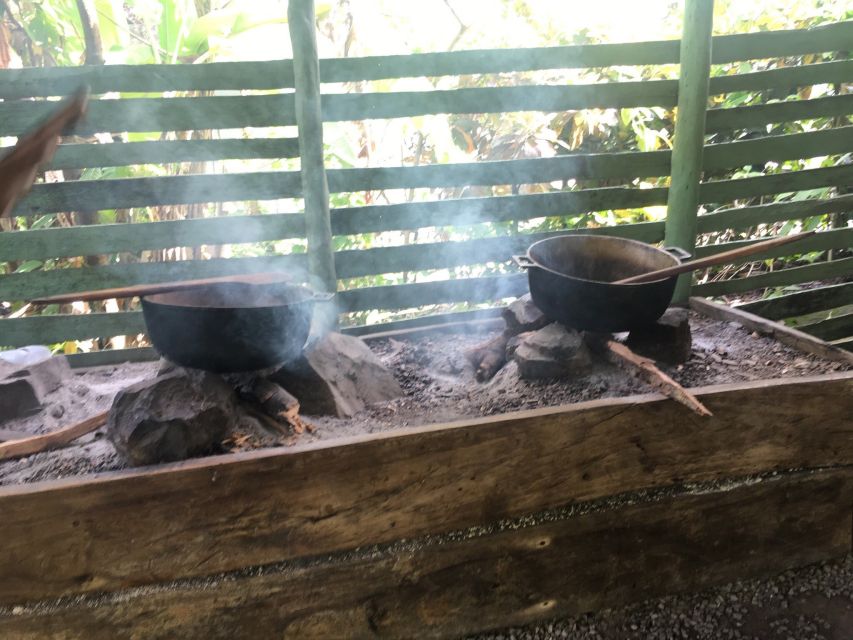 From Bayahibe: Half Day Monkeyland Safari - Interaction With Squirrel Monkeys