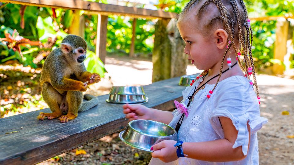 From Bayahibe: Half Day Monkeyland Safari - Frequently Asked Questions