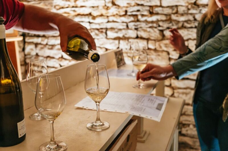From Beaune: Burgundy Day Trip With 14 Wine Tastings - Itinerary Highlights