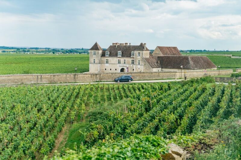 From Beaune: Burgundy Day Trip With 14 Wine Tastings - Wine and Food Experience