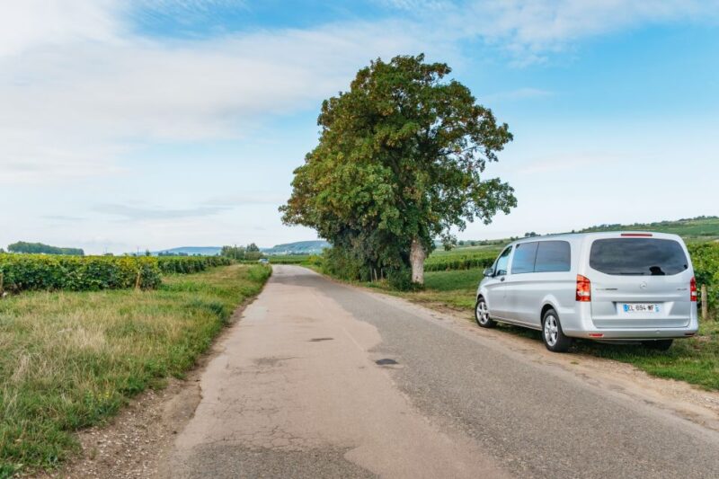 From Beaune: Burgundy Day Trip With 14 Wine Tastings - Transportation and Logistics