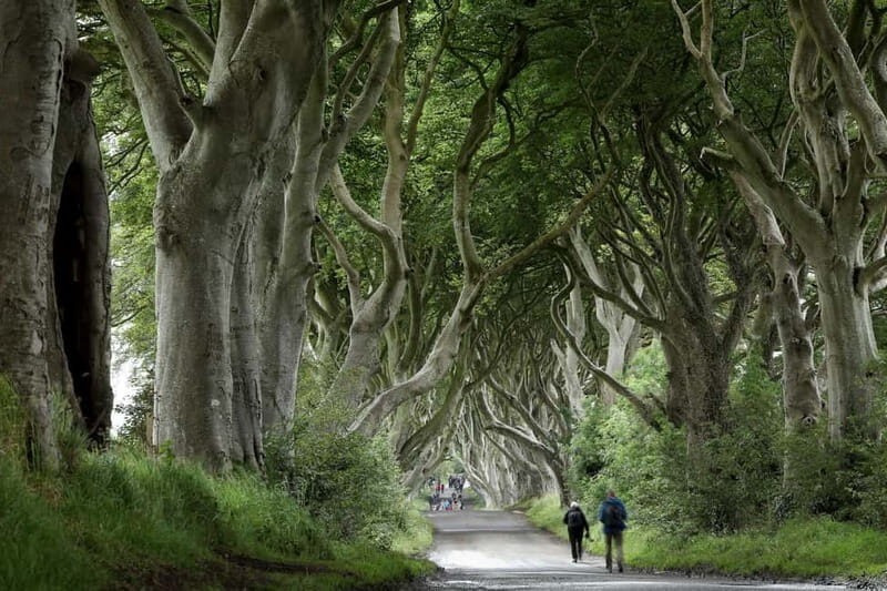 From Belfast: Giant's Causeway and Game of Thrones Tour - Key Points
