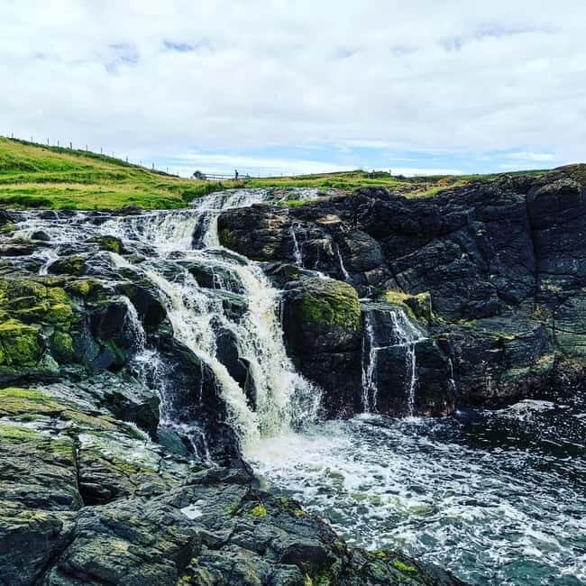 From Belfast: Private Tour of the Glens & Giants Causeway - An In-Depth Look at the Tour
