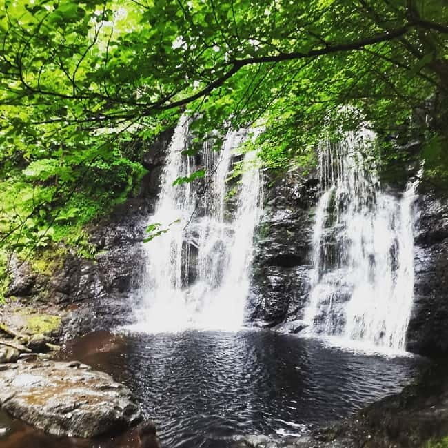 From Belfast: Private Tour of the Glens & Giants Causeway - Practical Details for Booking and Preparation