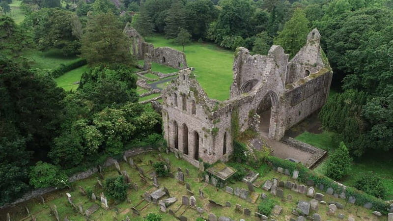 From Belfast: Strangford Lough Kings and Queens Tour - The Value of This Tour