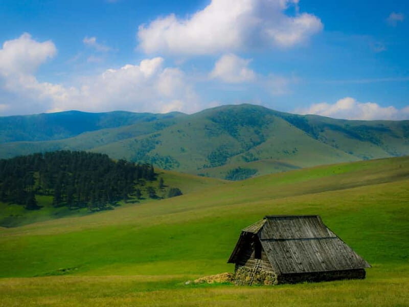 From Belgrade: Full-Day Guided Tour of Zlatibor Mountain - The Practical Aspects: Transportation, Price, and What’s Included