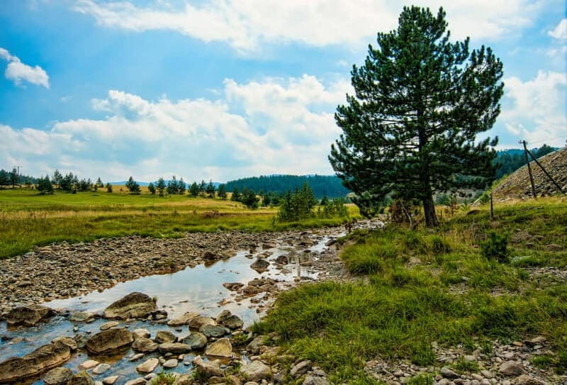 From Belgrade: Full-Day Guided Tour of Zlatibor Mountain - What Past Travelers Say