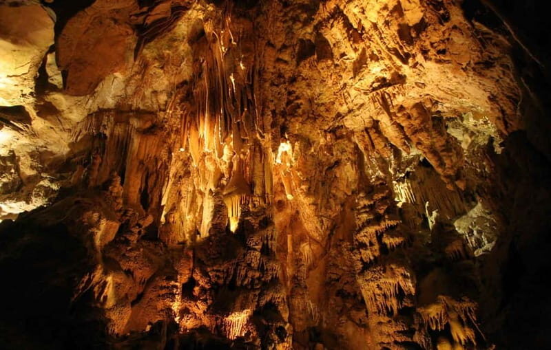 From Belgrade: Manasija Monastery and Resava Cave Tour - Exploring the Trip in Detail