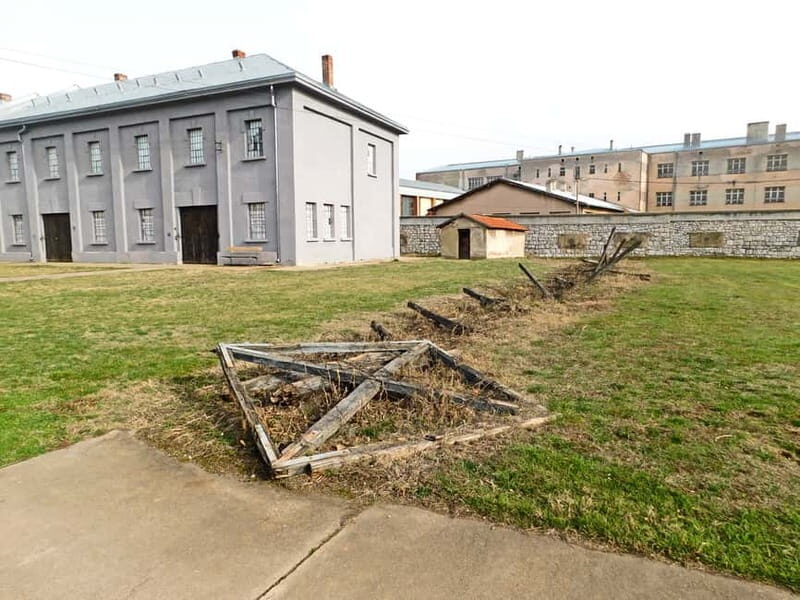 From Belgrade: Ni and Devil's Town Private Day Tour - Exploring the Route: A Deep Dive into the Experience  