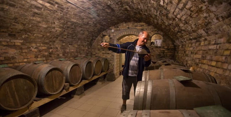 From Belgrade: Novi Sad and Sremski Karlovci Tour - Who Should Take This Tour?