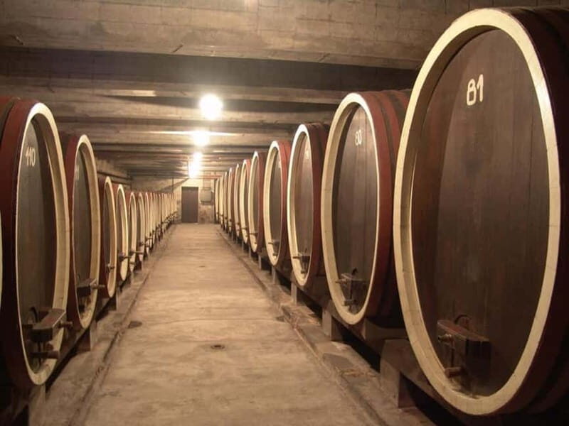 From Belgrade: Oplenac mausoleum Royal tour with winery - Final Thoughts