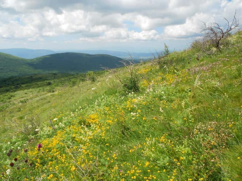 From Belgrade: Rtanj Mountain Hike Day Trip with Guide - Key Points