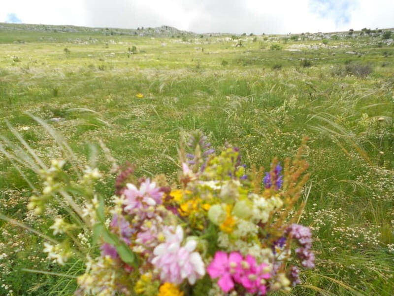 From Belgrade: Rtanj Mountain Hike Day Trip with Guide - Exploring Rtanj Mountain: A Natural and Cultural Treasure
