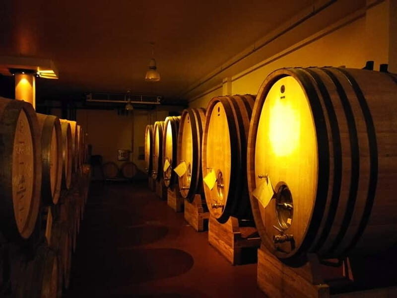 From Belgrade: Subotica and Palic Full-Day Trip with winery - Discovering Serbia’s North: An Authentic Day Trip