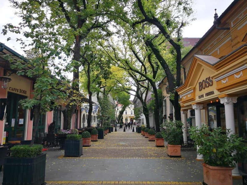From Belgrade: Subotica and Palic Full-Day Trip with winery - Return to Belgrade: A Relaxed Drive Back