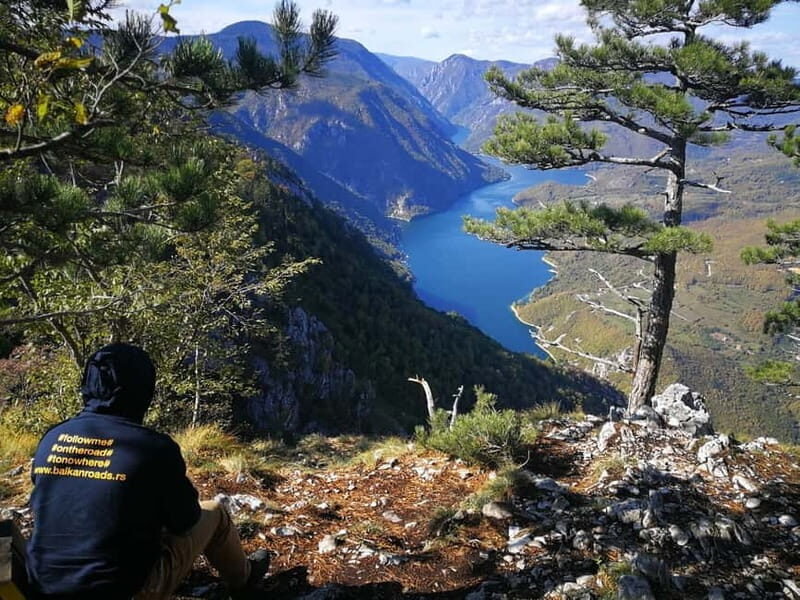 From Belgrade: Tara NP & Drina river & House on the Drina - The Journey Through Serbia’s Natural and Cultural Treasures