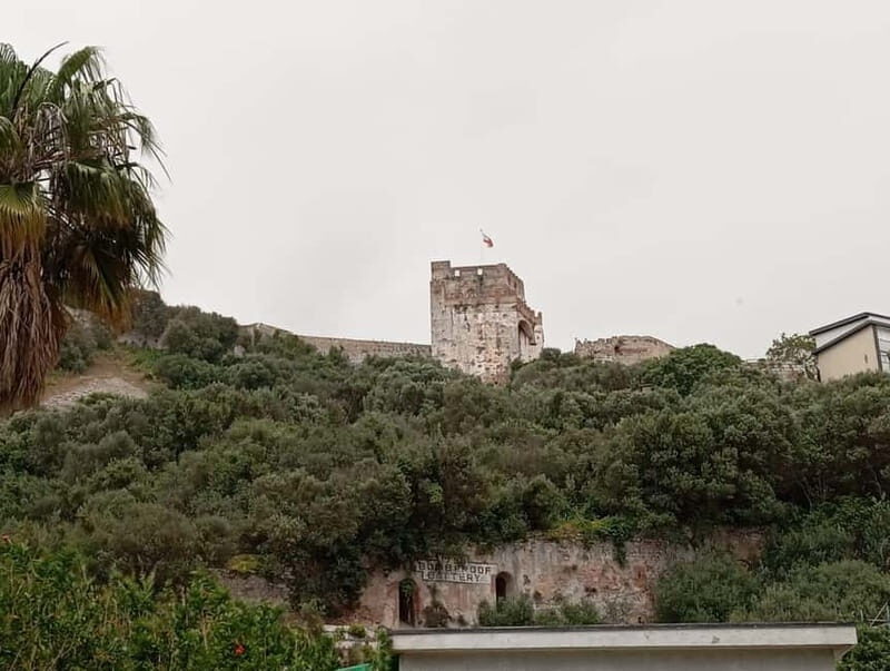 From Benalmadena: Gibraltar Day Trip - FAQs About the Gibraltar Day Trip from Benalmadena