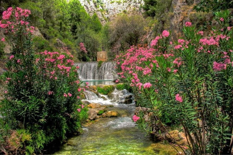 From Benidorm: Algar Waterfalls Tour with transfer - The Sum Up