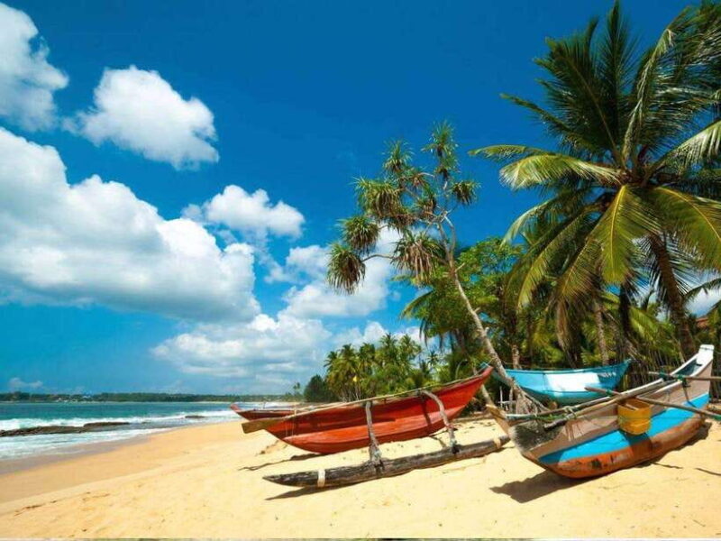 From Bentota/ Beruwala: Scenic Countryside Cycling Adventure - Exploring the Sri Lankan Countryside on Two Wheels