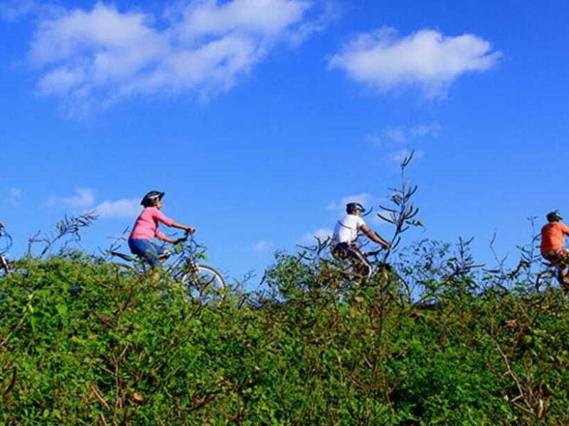 From Bentota/ Beruwala: Scenic Countryside Cycling Adventure - Final Thoughts