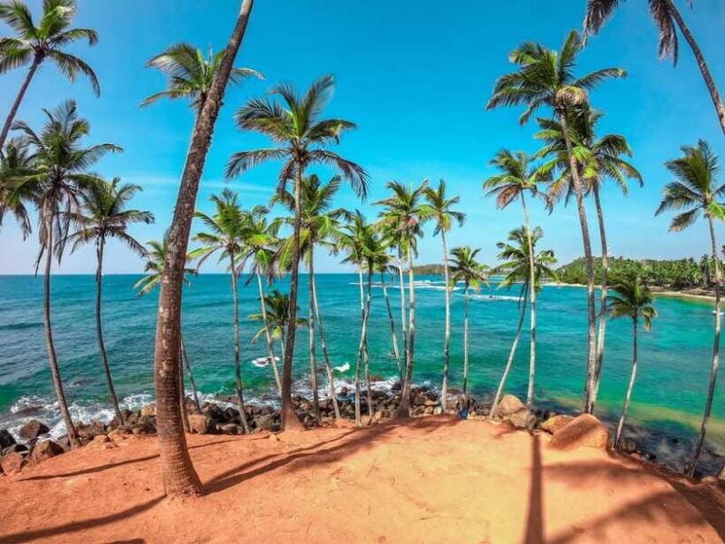 From Bentota: Elephant Transit Camp and Udawalawe Safari - Who Will Love This Tour?