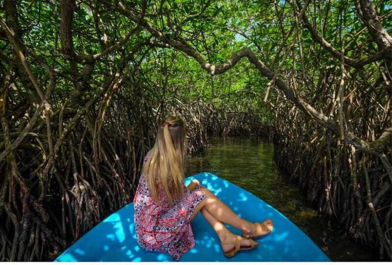 From Bentota: Exclusive Madu River Safari & Turtle Hatchery - Final Thoughts