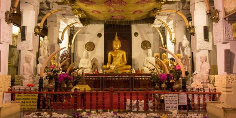 From Bentota: Kandy Tour with Tooth Temple & Gardens Visit - Key Points