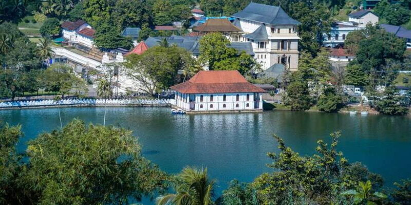 From Bentota: Kandy Tour with Tooth Temple & Gardens Visit - Who Will Love This Tour?