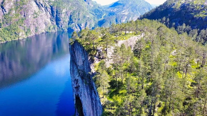 From Bergen: 2 in 1 - Fjord Cruise and Guided Mountain Hike - An In-Depth Look at the Experience