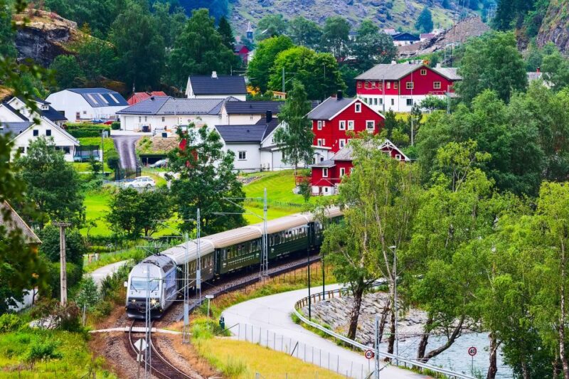 From Bergen: Flam Full-Day Cruise to Sognefjord - Included Features