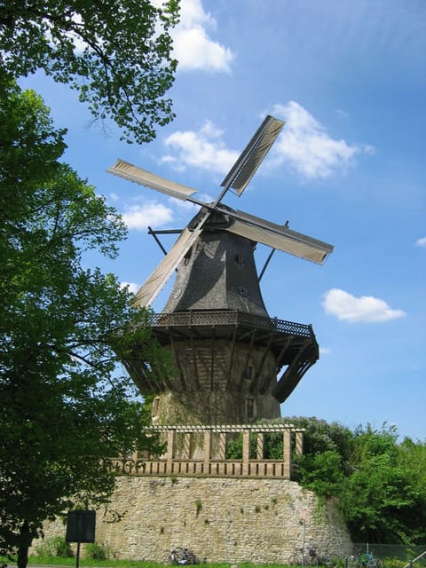 From Berlin: Gardens & Palaces of Potsdam Bike Tour - A Practical Guide to the Potsdam Bike Tour