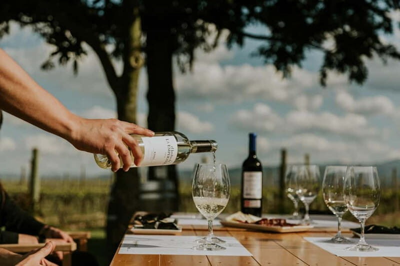 From Bilbao: La Rioja a journey to the vineyards & tradition - How Does it All Add Up?