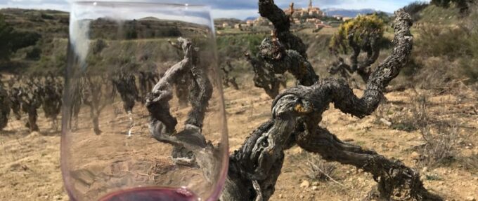 From Bilbao: La Rioja Wine Tour by E-Bike With Wine Tastings - Picnic Lunch and Village Exploration