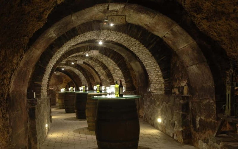 From Bilbao: La Rioja Wineries Day Trip with Wine Tastings - Logistics and Practicalities