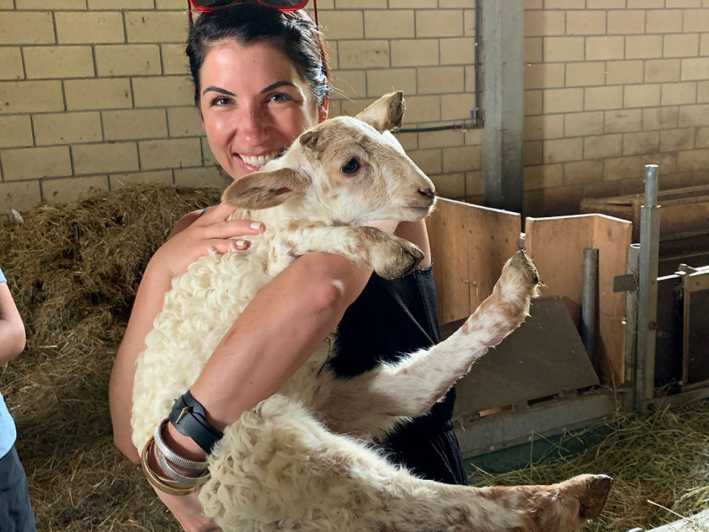 From Bilbao: San Sebastian and Basque Cheese Farm Tour - Cheese Experience