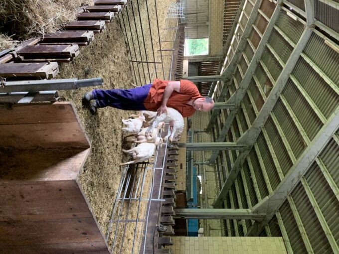From Bilbao: San Sebastian and Basque Cheese Farm Tour - Frequently Asked Questions