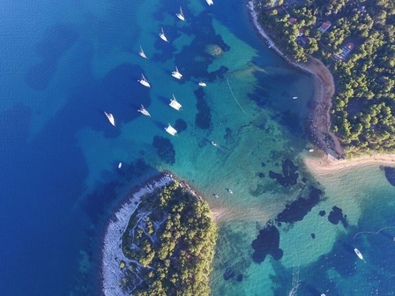 From Biograd: Golden Island of Vrgada Trip with Lunch - A Closer Look at the Vrgada Trip
