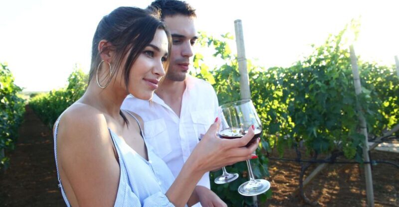 From Biograd: Wine and Olive Oil Tasting in Ranjevia Dvori - A Taste of Ravni Kotari: Wine and Olive Oil Tasting in Ranjevia Dvori