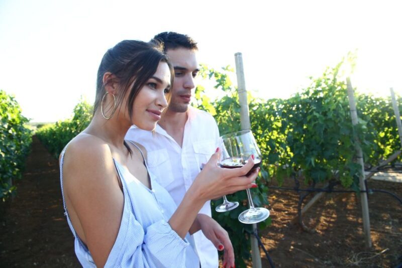 From Biograd: Wine and Olive Oil Tasting in Ranjevia Dvori - The Experience from a Traveler’s Perspective