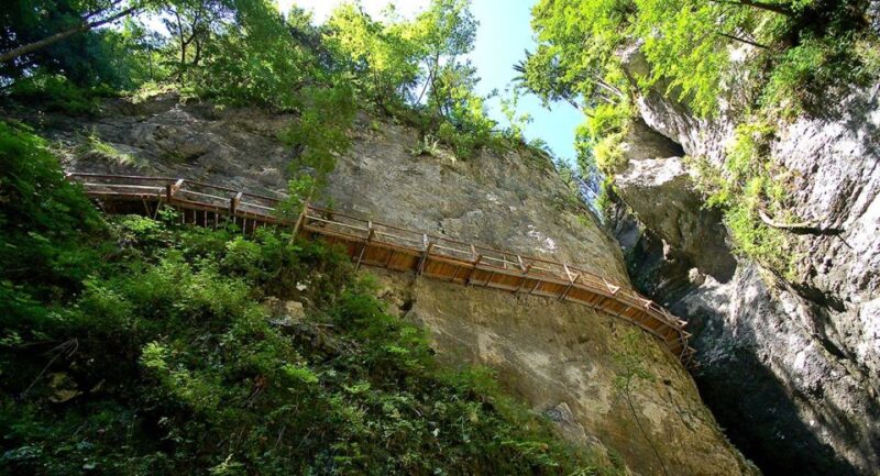From Bled: Half-Day Pokljuka Gorge Trail Hike - Pricing and Reservation