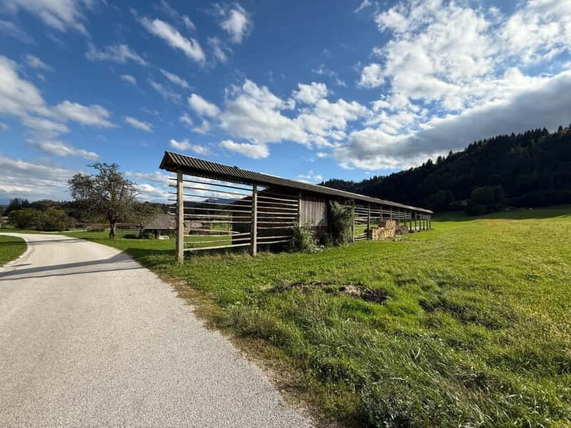 From Bled: Self Guided E-Bike Trip to Triglav National Park - Key Points